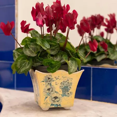 Apartament La Floridea *