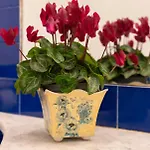 Apartamento La Floridea *